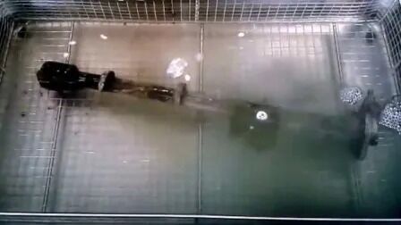 デジタルヒータータイマー ステンレス 産業用 自動車部品 超音波洗浄機 JP-480ST